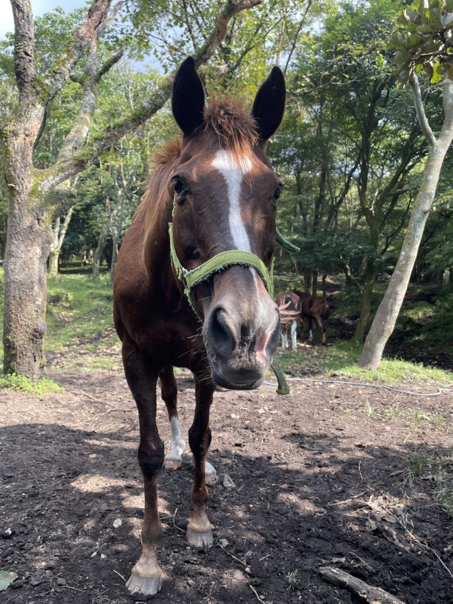 0be8419e29a94381aab25750f02aae14-1761812427.jpg 0be8419e29a94381aab25750f02aae14-1761812427.jpg